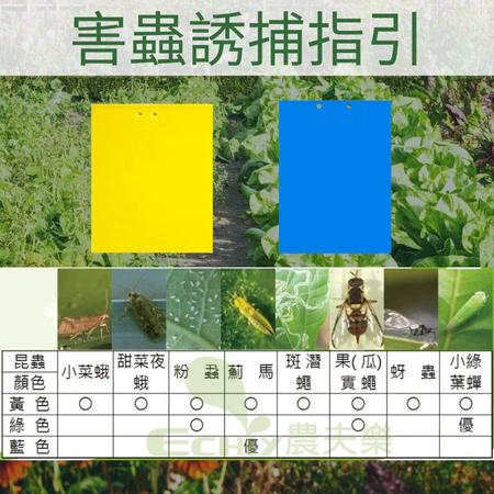 植物用黃色黏蟲板(10入裝)