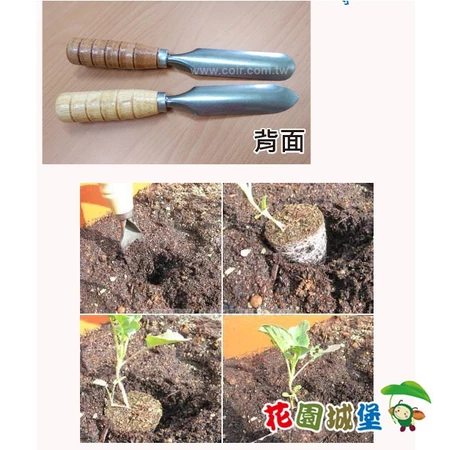 不鏽鋼園藝移植鏟