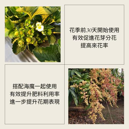 磷鉀促花液肥