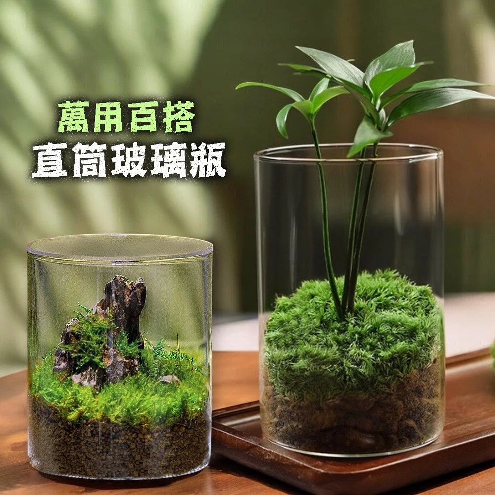 玻璃微景觀生態瓶組合