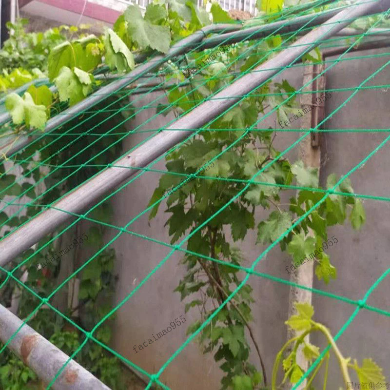 氣根固定夾／植物攀爬網