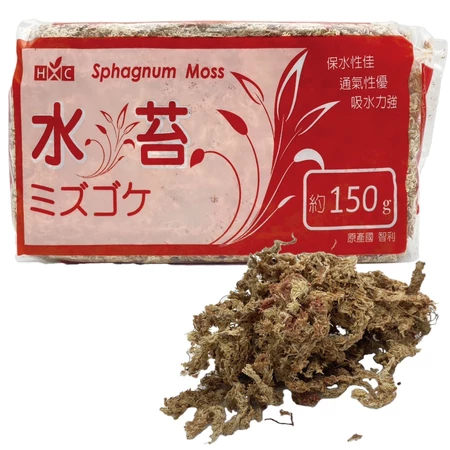 頂級智利水苔