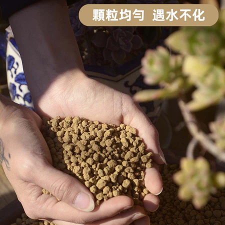 赤玉土顆粒介質
