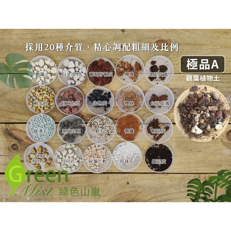 觀葉植物專用培養土