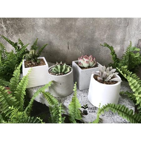 質感清水模水泥盆